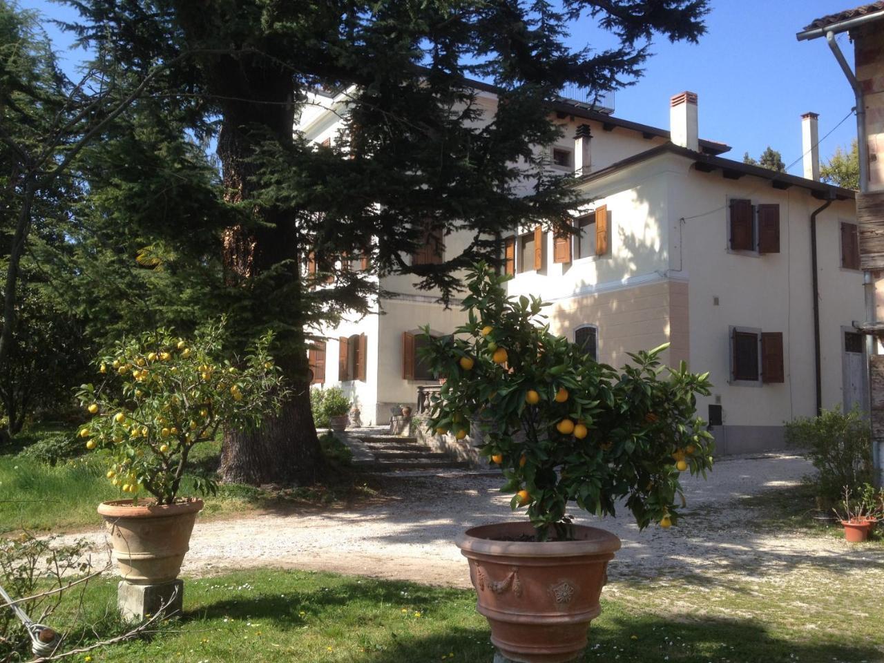 Bed and Breakfast Antica Scuderia Buttrio Exterior foto