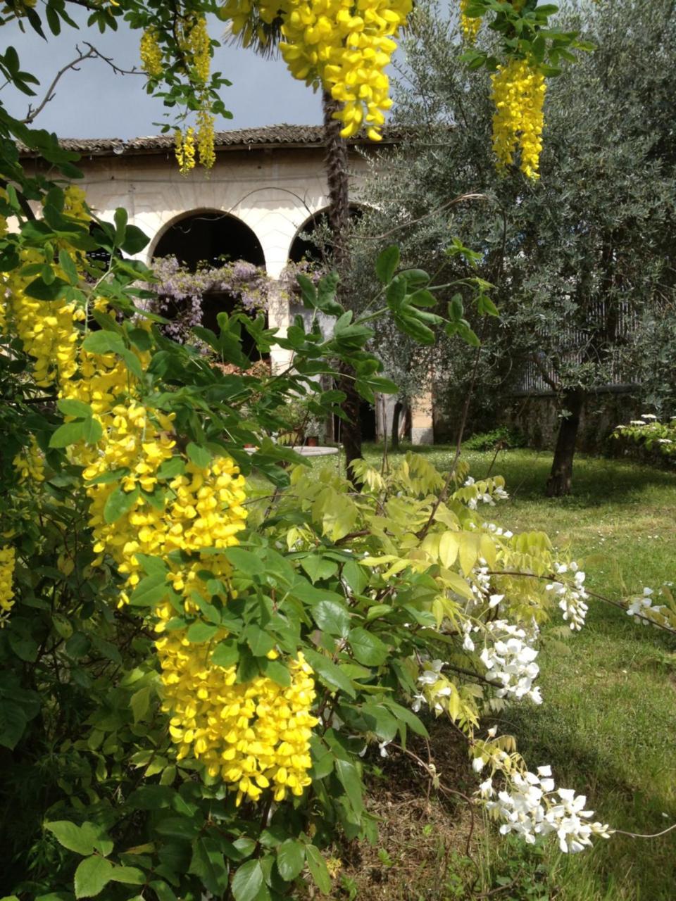 Bed and Breakfast Antica Scuderia Buttrio Exterior foto